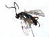  ( - ZMUO.066775)  @11 [ ] by-nc (2023) Pirjo Appelgren Friendship Park Research Centre