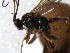  ( - ZMUO.066834)  @11 [ ] by-nc (2023) Pirjo Appelgren Friendship Park Research Centre