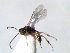  ( - ZMUO.066862)  @11 [ ] by-nc (2023) Pirjo Appelgren Friendship Park Research Centre