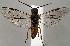  ( - ZMUO.067175)  @11 [ ] by-nc (2023) Marko Mutanen University of Oulu