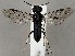  ( - ZMUO.067197)  @11 [ ] by-nc (2023) Marko Mutanen University of Oulu