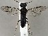  ( - ZMUO.067198)  @11 [ ] by-nc (2023) Marko Mutanen University of Oulu