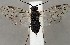  ( - ZMUO.067294)  @11 [ ] by-nc (2023) Marko Mutanen University of Oulu