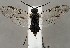  ( - ZMUO.067296)  @11 [ ] by-nc (2023) Marko Mutanen University of Oulu
