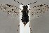  ( - ZMUO.067297)  @11 [ ] by-nc (2023) Marko Mutanen University of Oulu