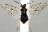  ( - ZMUO.067300)  @11 [ ] by-nc (2023) Marko Mutanen University of Oulu