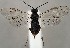  ( - ZMUO.067329)  @11 [ ] by-nc (2023) Marko Mutanen University of Oulu