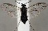  ( - ZMUO.067346)  @11 [ ] by-nc (2023) Marko Mutanen University of Oulu
