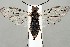  ( - ZMUO.067358)  @11 [ ] by-nc (2024) Marko Mutanen University of Oulu