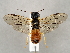  ( - ZMUO.077134)  @11 [ ] by-nc (2023) Marko Mutanen University of Oulu