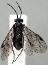  ( - ZMUO.077354)  @11 [ ] by-nc (2023) Marko Mutanen University of Oulu