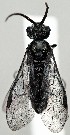  ( - ZMUO.077493)  @11 [ ] by-nc (2023) Marko Mutanen University of Oulu