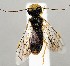  ( - ZMUO.078387)  @11 [ ] by-nc (2023) Marko Mutanen University of Oulu