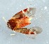  ( - ZMUO.079064)  @11 [ ] by-nc (2024) Marko Mutanen University of Oulu