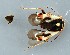  ( - ZMUO.079161)  @11 [ ] by-nc (2024) Marko Mutanen University of Oulu