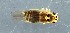  ( - ZMUO.079188)  @11 [ ] by-nc (2024) Marko Mutanen University of Oulu