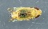  ( - ZMUO.079198)  @11 [ ] by-nc (2024) Marko Mutanen University of Oulu