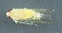  ( - ZMUO.079218)  @11 [ ] by-nc (2024) Marko Mutanen University of Oulu