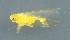  ( - ZMUO.079235)  @11 [ ] by-nc (2024) Marko Mutanen University of Oulu