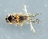  ( - ZMUO.079276)  @11 [ ] by-nc (2024) Marko Mutanen University of Oulu