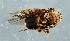 ( - ZMUO.079333)  @11 [ ] by-nc (2024) Marko Mutanen University of Oulu