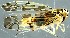  (Eupteryx florida - ZMUO.079384)  @11 [ ] by-nc (2024) Marko Mutanen University of Oulu