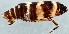  ( - ZMUO.079414)  @11 [ ] by-nc (2024) Marko Mutanen University of Oulu