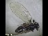  ( - ZMUO.079424)  @11 [ ] by-nc (2022) Petri Parkko Unspecified