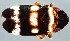  ( - ZMUO.079441)  @11 [ ] by-nc (2024) Marko Mutanen University of Oulu