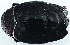  ( - ZMUO.079559)  @11 [ ] by-nc (2024) Marko Mutanen University of Oulu