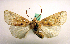  ( - MM19008)  @14 [ ] Unspecified (default): All Rights Reserved  Unspecified Unspecified