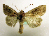  ( - MM19017)  @12 [ ] Unspecified (default): All Rights Reserved  Unspecified Unspecified