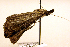  ( - MM19071)  @13 [ ] Unspecified (default): All Rights Reserved  Unspecified Unspecified