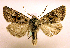  ( - MM19077)  @14 [ ] Unspecified (default): All Rights Reserved  Unspecified Unspecified