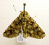  ( - MM19093)  @14 [ ] Unspecified (default): All Rights Reserved  Unspecified Unspecified