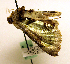 ( - MM19100)  @12 [ ] Unspecified (default): All Rights Reserved  Unspecified Unspecified