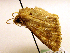  ( - MM19102)  @13 [ ] Unspecified (default): All Rights Reserved  Unspecified Unspecified