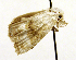  ( - MM19111)  @12 [ ] Unspecified (default): All Rights Reserved  Unspecified Unspecified