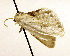  ( - MM19114)  @12 [ ] Unspecified (default): All Rights Reserved  Unspecified Unspecified