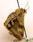  ( - MM19121)  @13 [ ] Unspecified (default): All Rights Reserved  Unspecified Unspecified