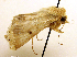  ( - MM19122)  @13 [ ] Unspecified (default): All Rights Reserved  Unspecified Unspecified