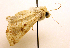  ( - MM19123)  @13 [ ] Unspecified (default): All Rights Reserved  Unspecified Unspecified