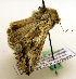  ( - MM19132)  @12 [ ] Unspecified (default): All Rights Reserved  Unspecified Unspecified