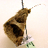  ( - MM19135)  @13 [ ] Unspecified (default): All Rights Reserved  Unspecified Unspecified