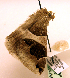  ( - MM19136)  @13 [ ] Unspecified (default): All Rights Reserved  Unspecified Unspecified