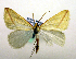  ( - MM19155)  @13 [ ] Unspecified (default): All Rights Reserved  Unspecified Unspecified