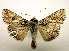  ( - MM19161)  @14 [ ] Unspecified (default): All Rights Reserved  Unspecified Unspecified