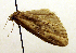  ( - MM19198)  @12 [ ] No Rights Reserved (2010) Marko Mutanen University of Oulu