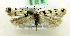  ( - MM19232)  @13 [ ] No Rights Reserved (2010) Marko Mutanen University of Oulu