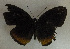  ( - USNM ENT 00643515)  @12 [ ] Unspecified (default): All Rights Reserved  Unspecified Unspecified